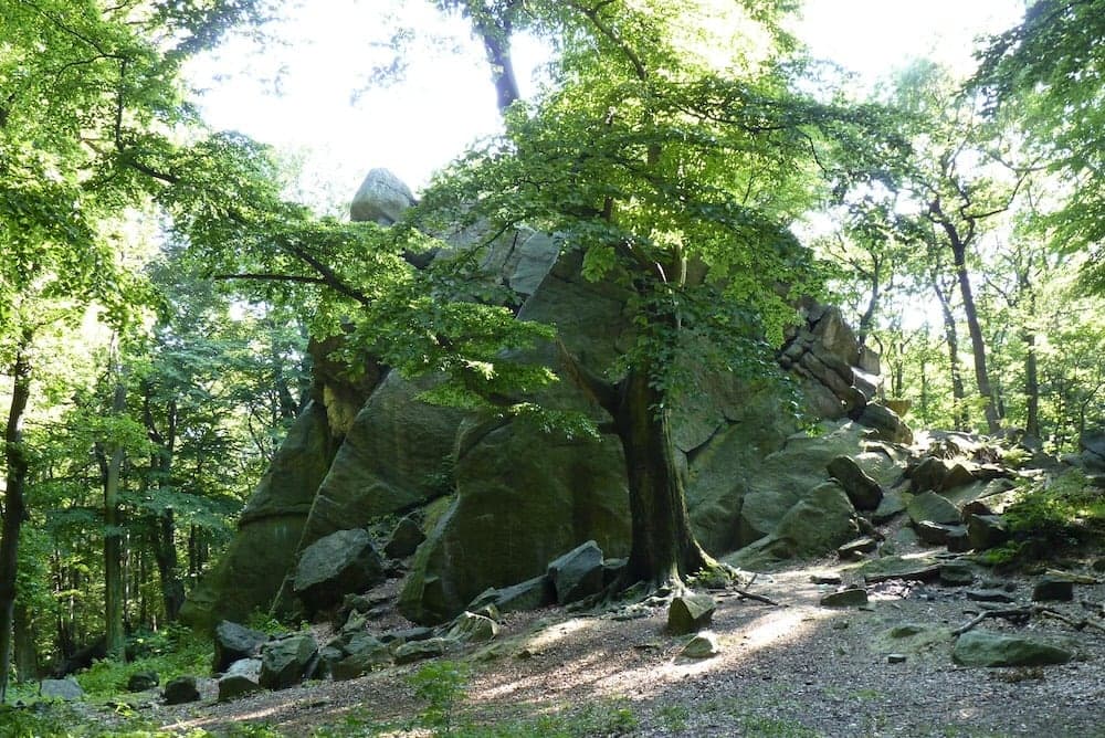 Salesiova výšina